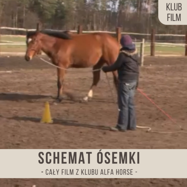 schemat_osemki