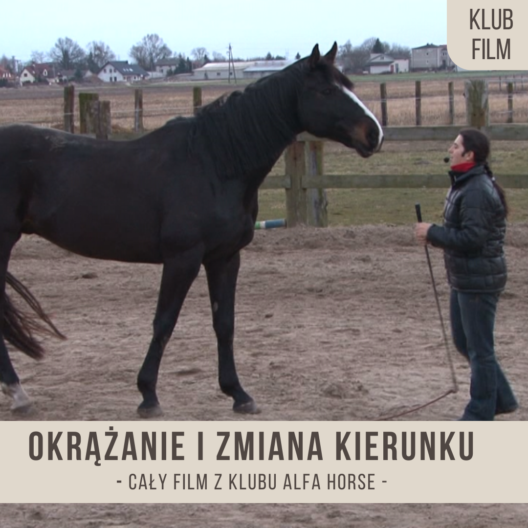 okrazanie_i_zmiana_kierunku