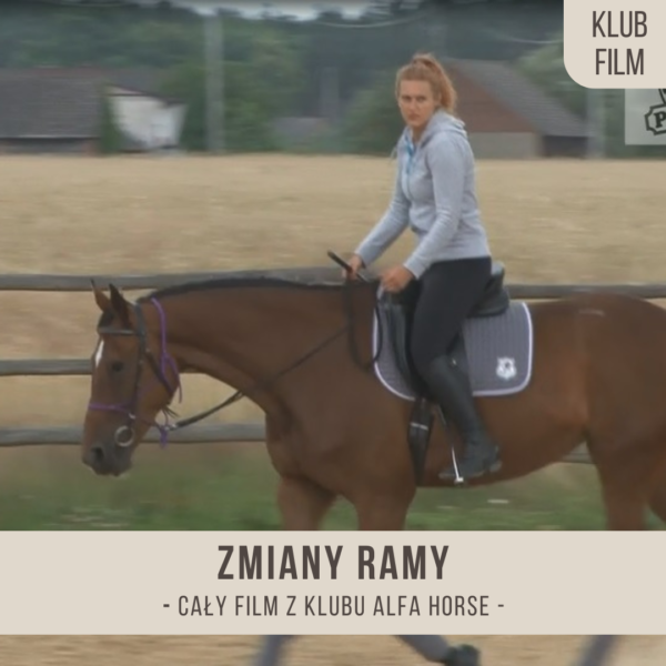 zmiany_ramy