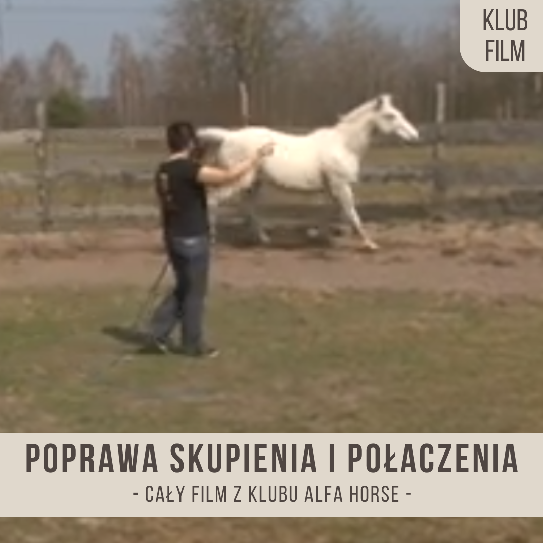 poprawa_skupienia_polaczenia_i_respektu