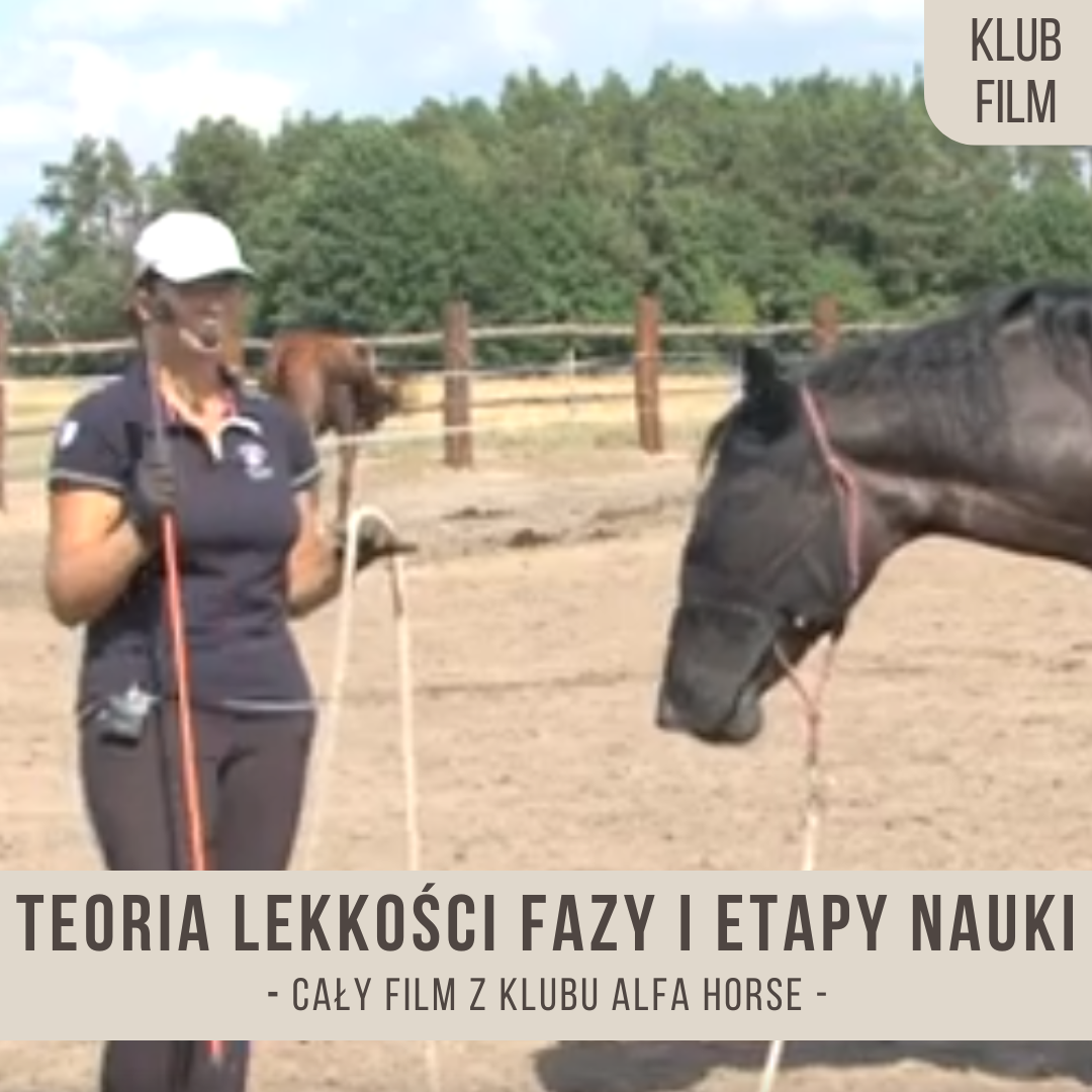 teoria_lekkosci_fazy_i_etapy_nauki