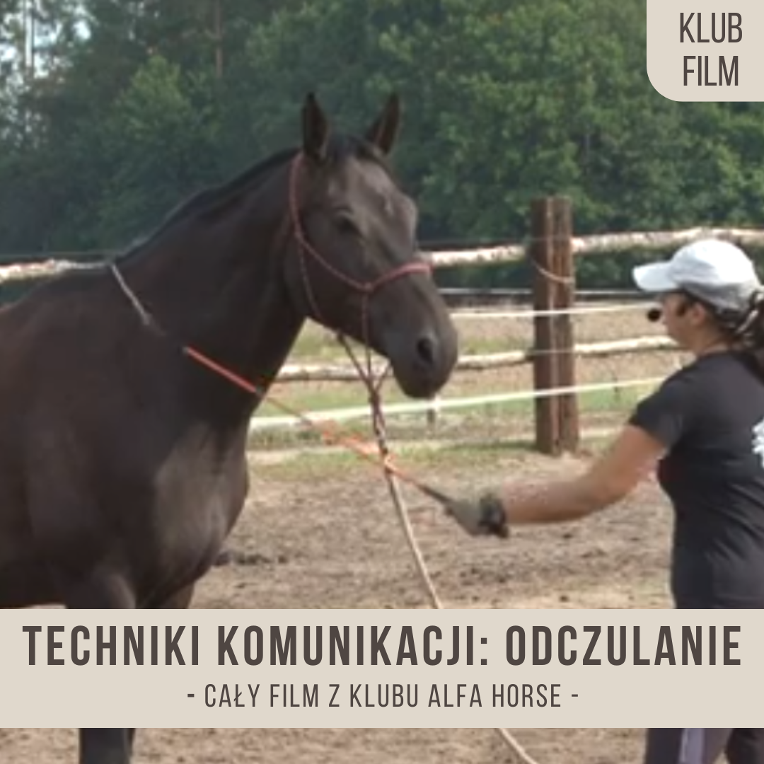 techniki_komunikacji_wstep_i_odczulanie_przez_przyblizanie_oddalanie
