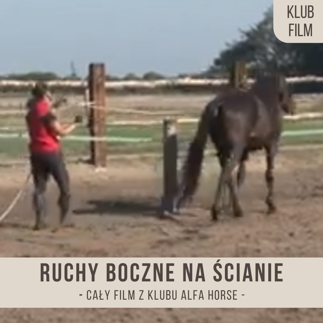 ruchy_boczne_na_scianie