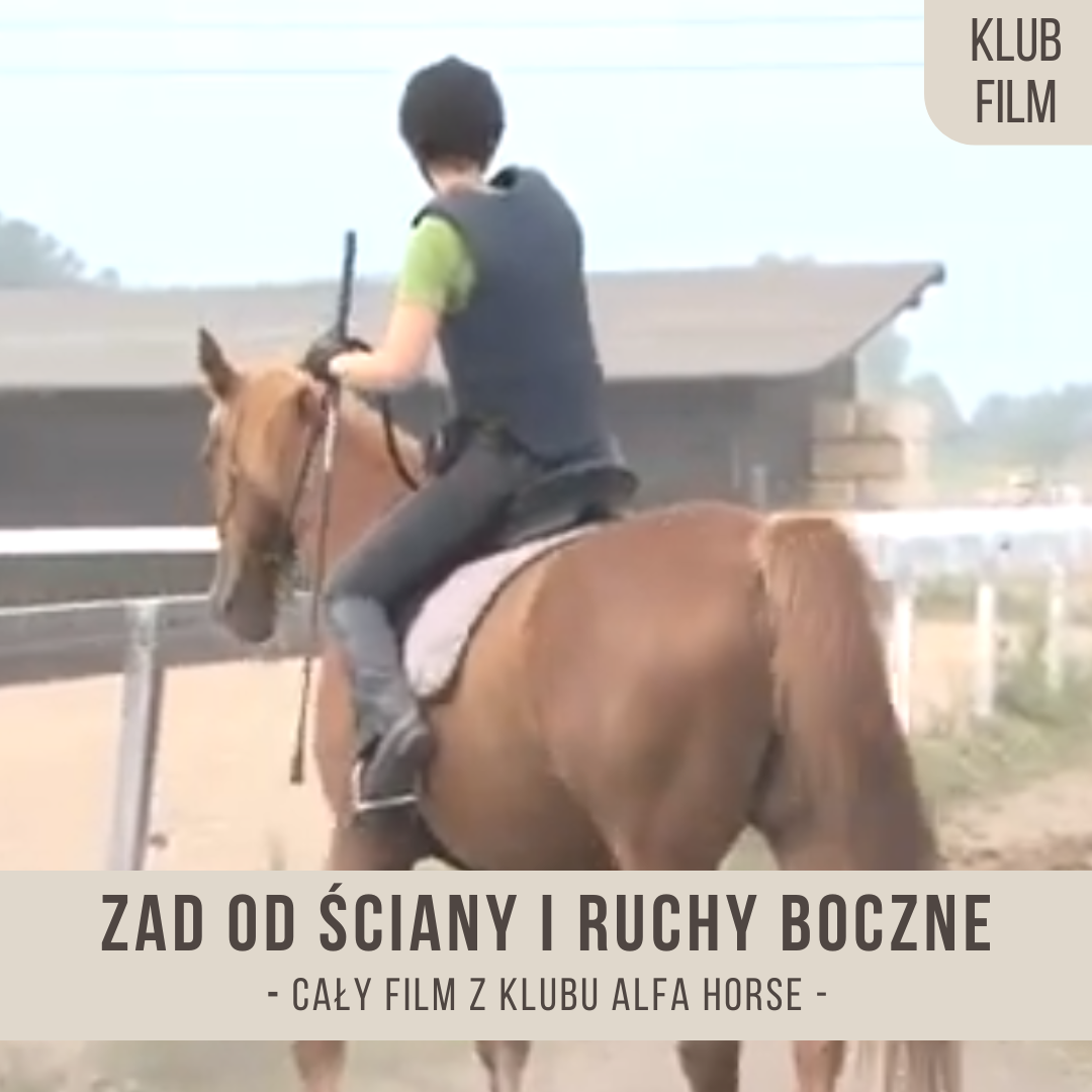 zad_od_sciany_do_zatrzymania_ruchy_boczne_na_scianie