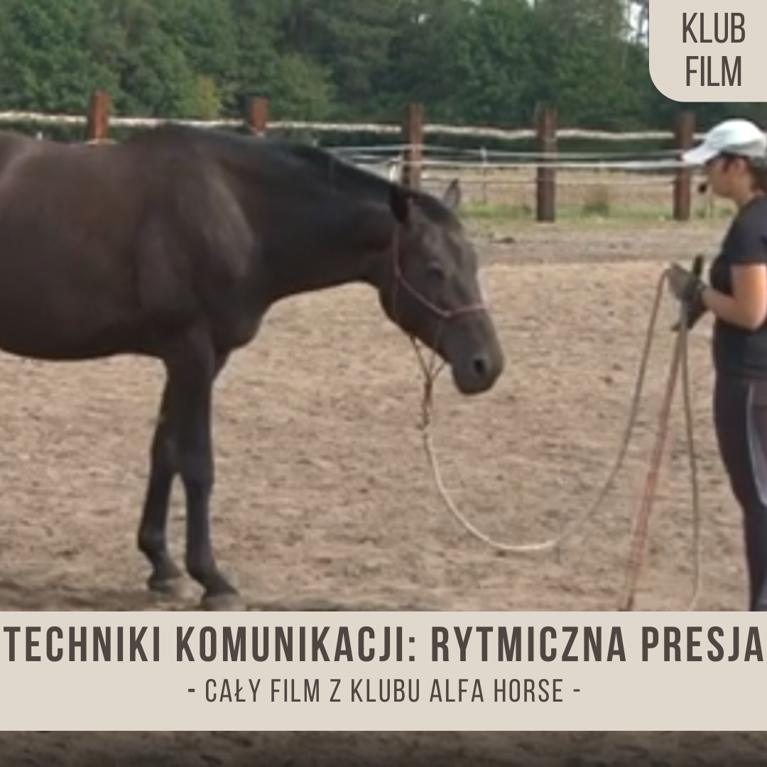 techniki_komunikacji_rytmiczna_presja