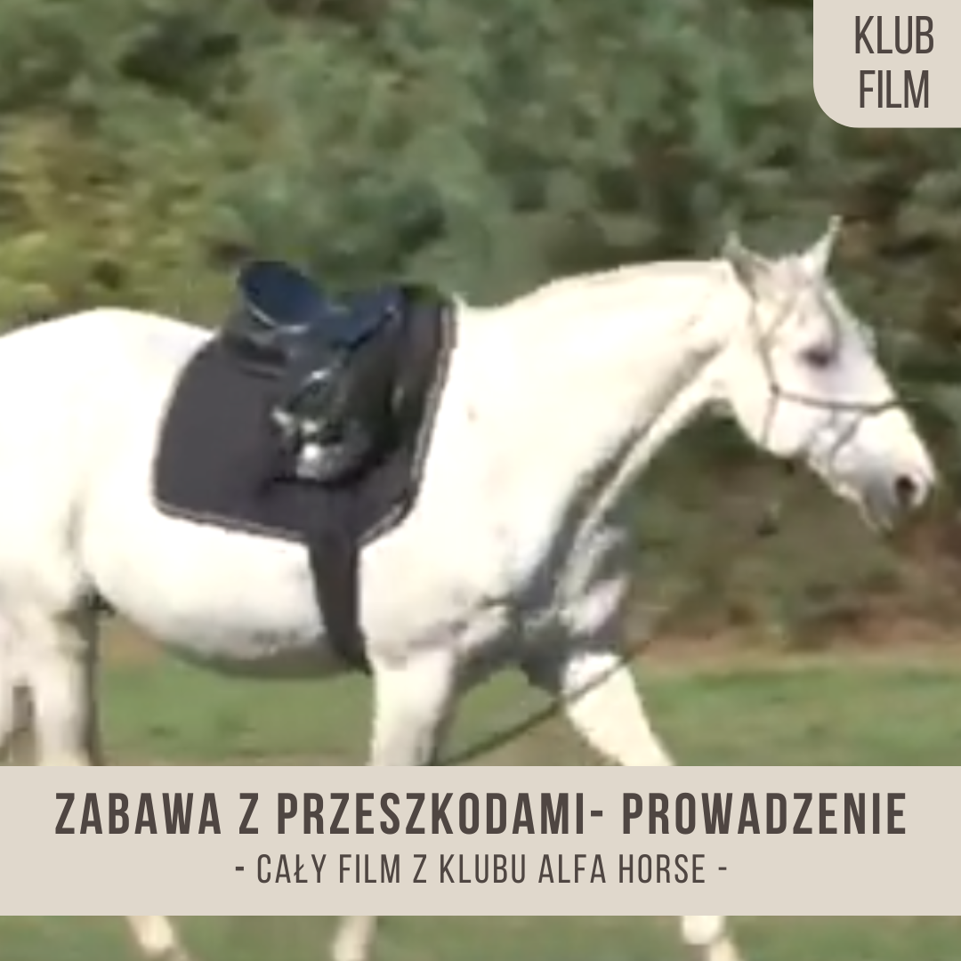 zabawa_z_przeszkodami_prowadzenie