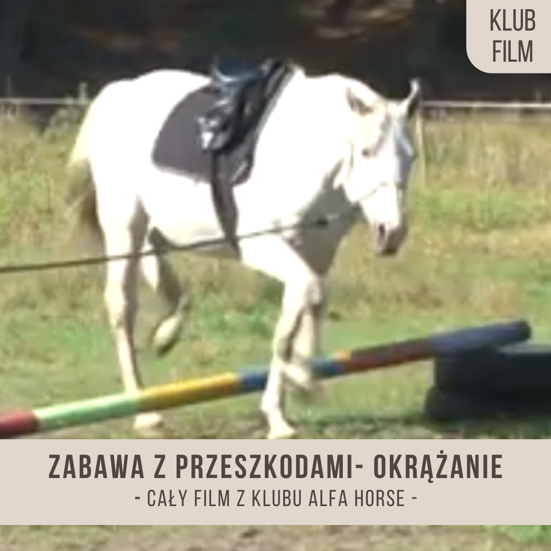 zabawa_z_przeszkodami_okrazanie