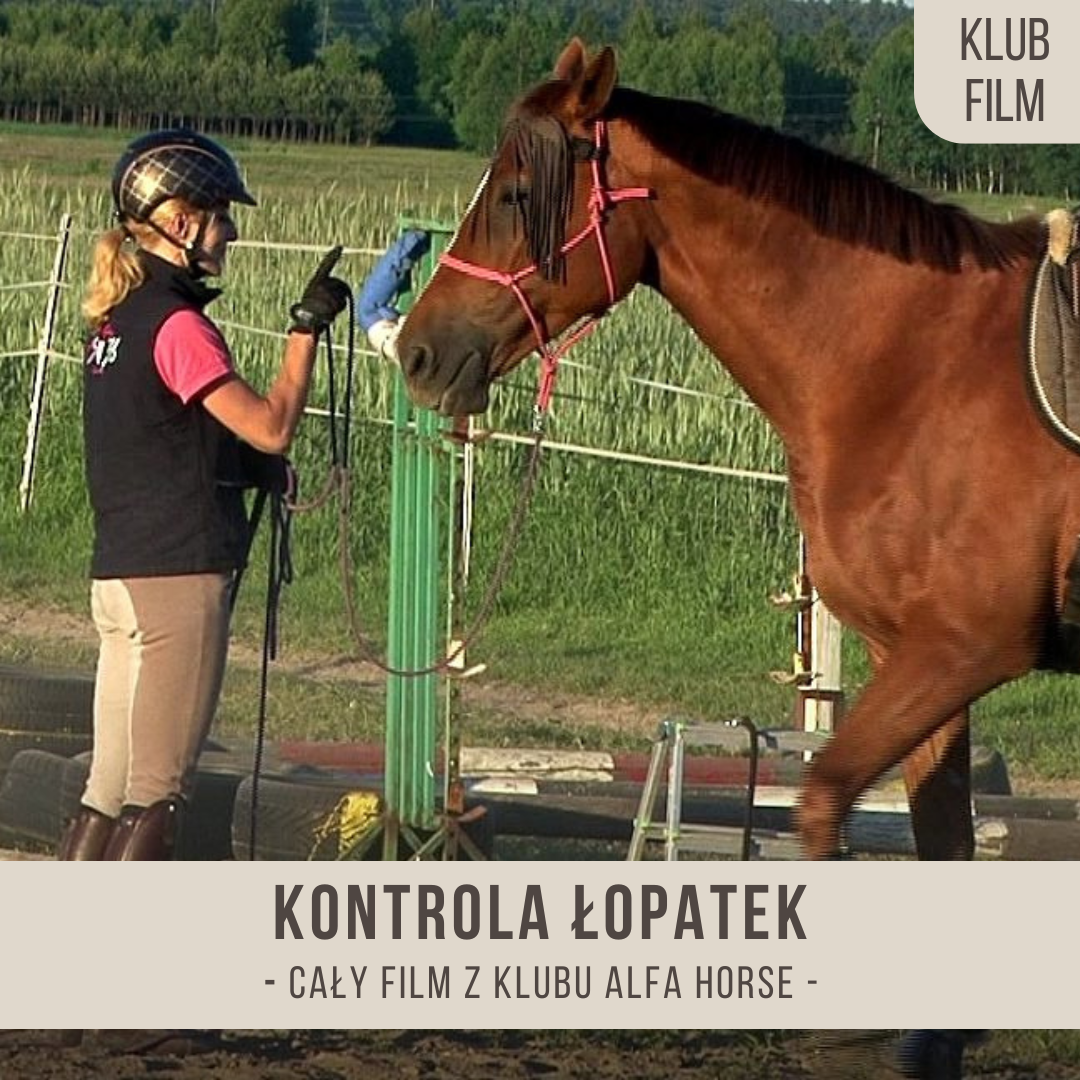 kontrola_lopatek_proste_luki_kola