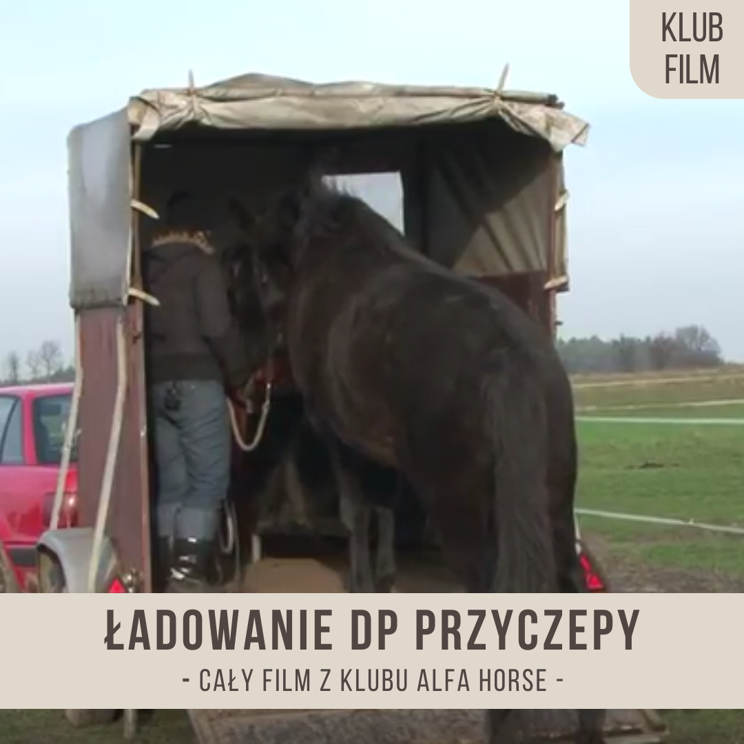 ladowanie_do_przyczepy_nauka