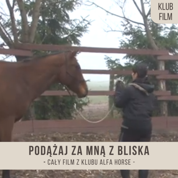 podazaj_za_mna_z_bliska