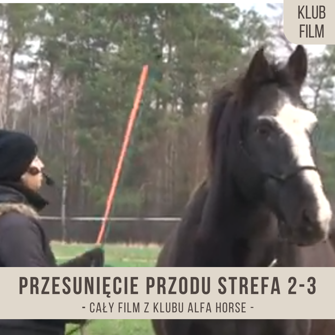 przesuniecie_przodu_ze_strefy_2_3