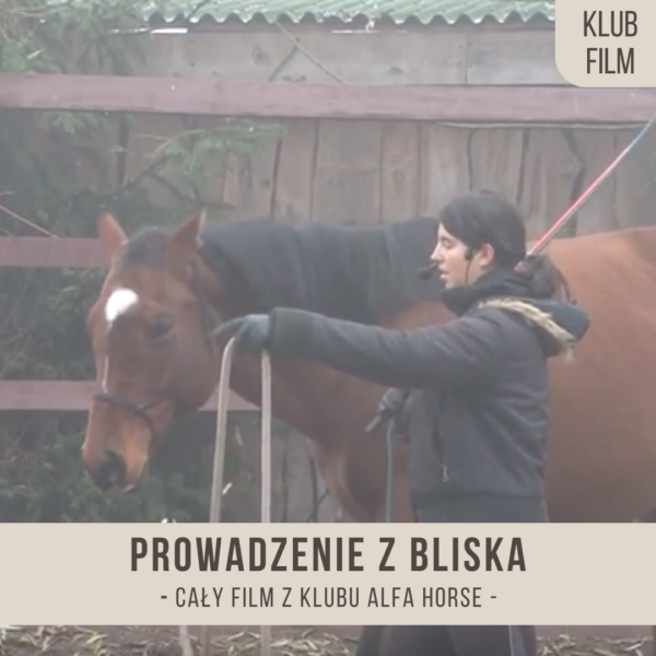 prowadzenie_z_bliska