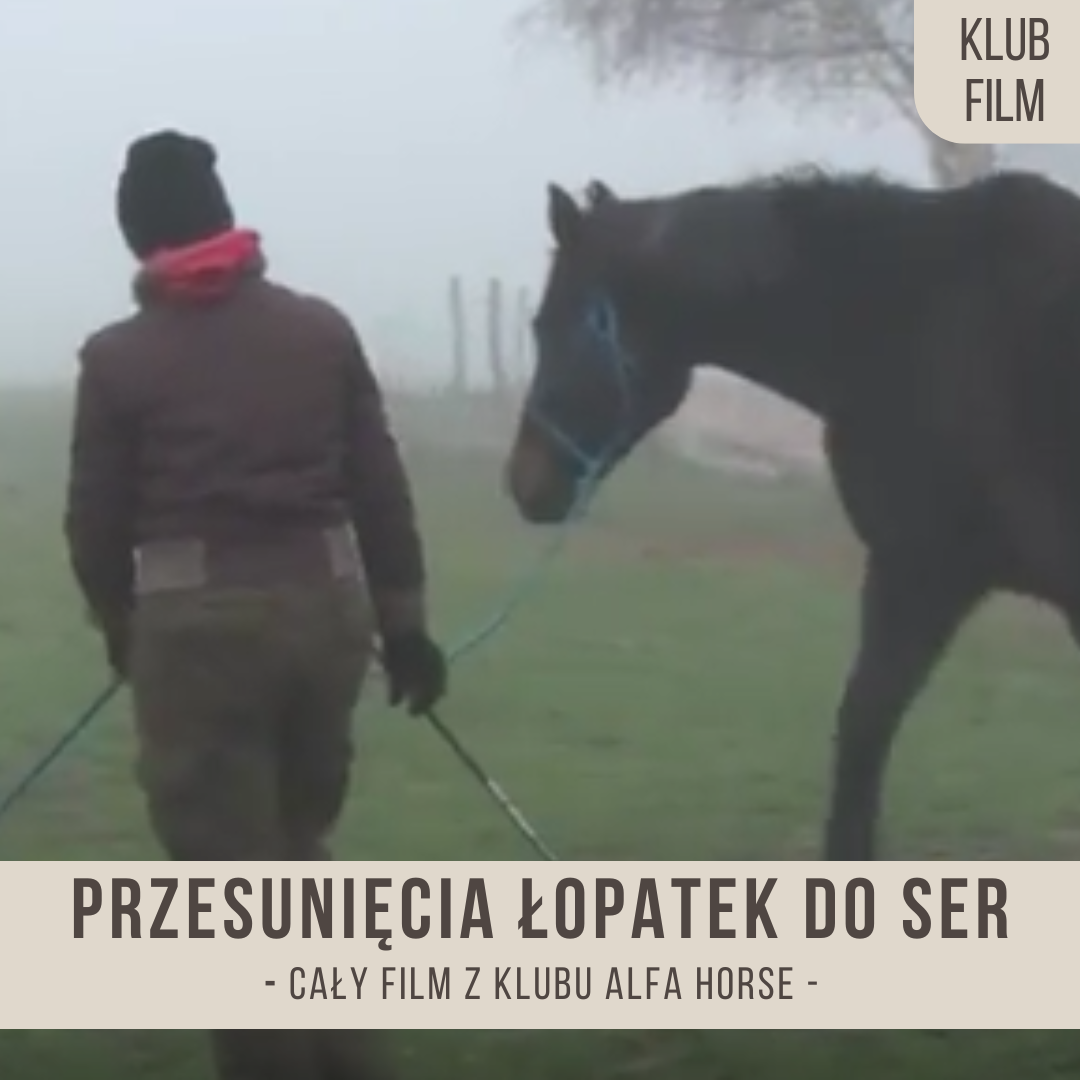 przesuniecia_lopatek_do_ser_ustawienie_na_linie