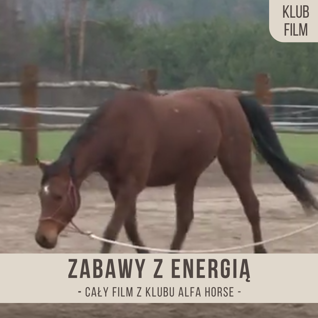 zabawy_z_energia_nauka_dodawania_energii