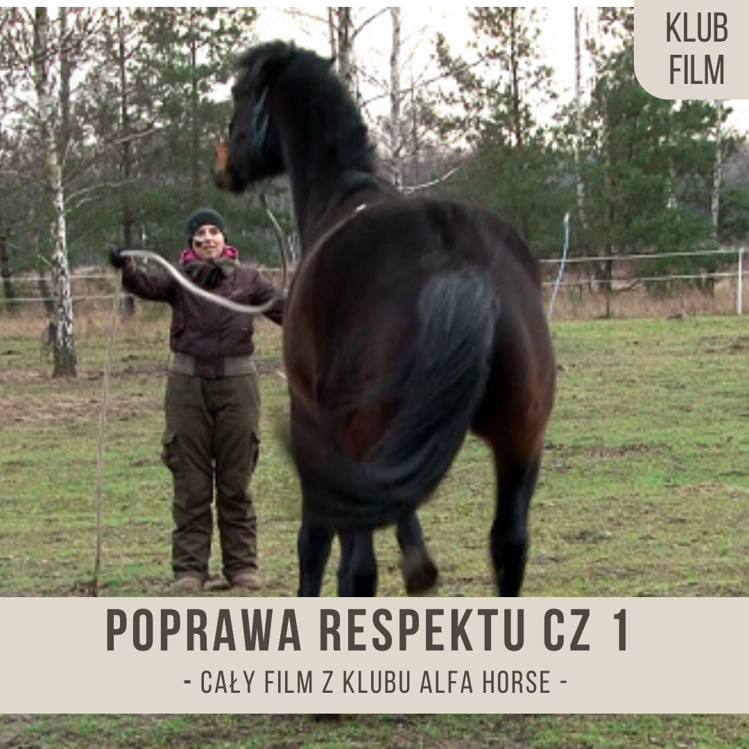 poprawa_respektu_cz1