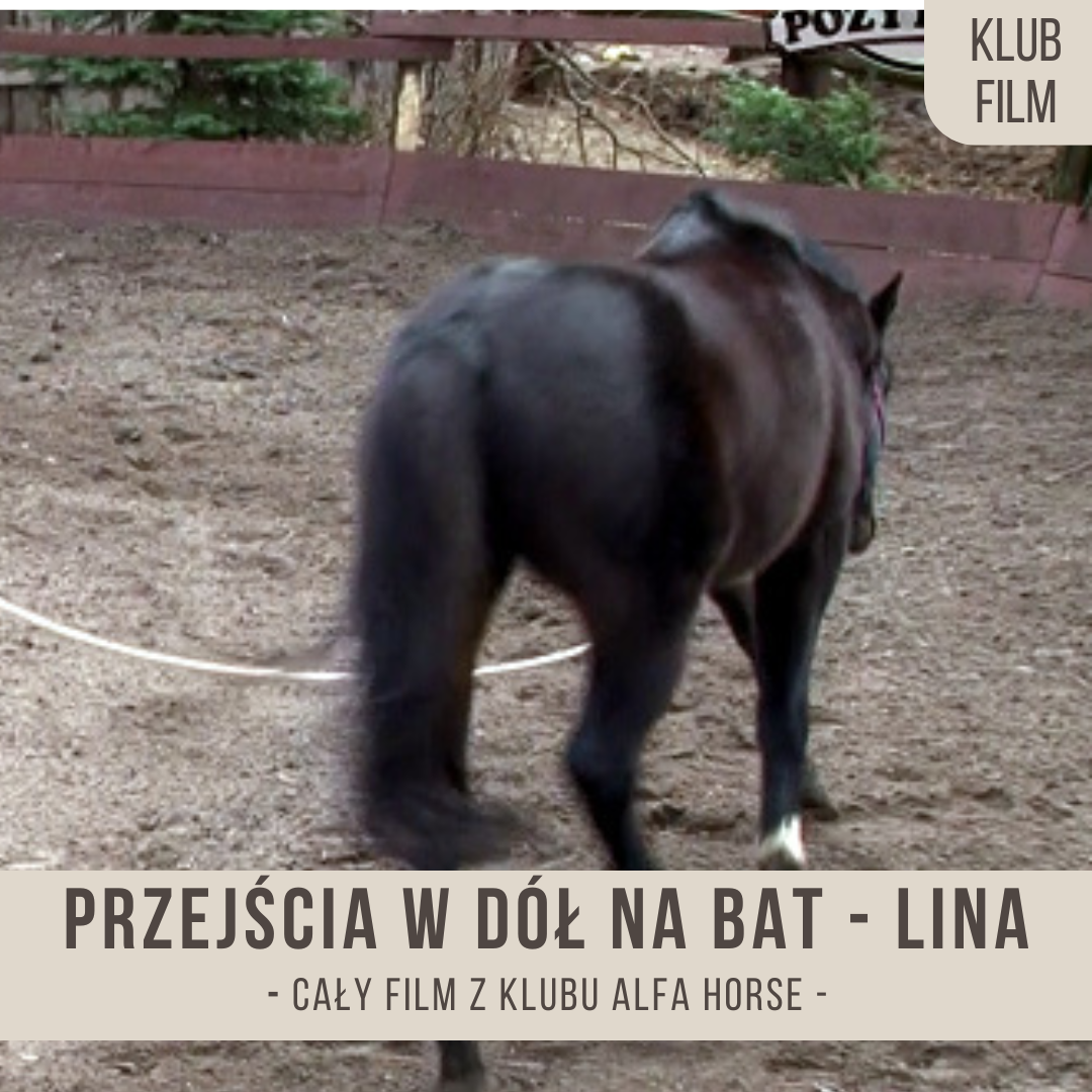 przejscia_w_dol_na_bat_na_linie