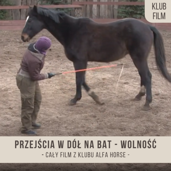 przejscia_na_bat_180_na_wolnosci
