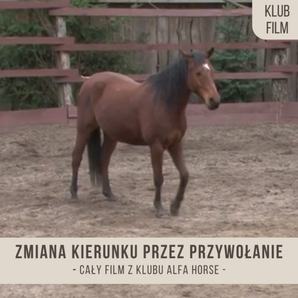 zmiany_kierunku_przez_przywolanie_na_wolnosci