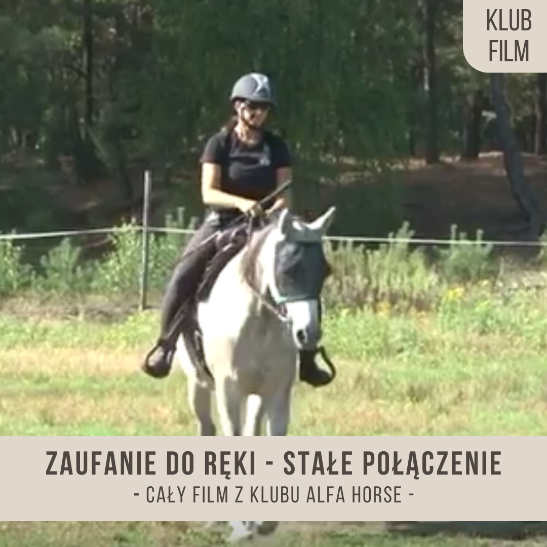 zaufanie_do_reki_stale_polaczenie