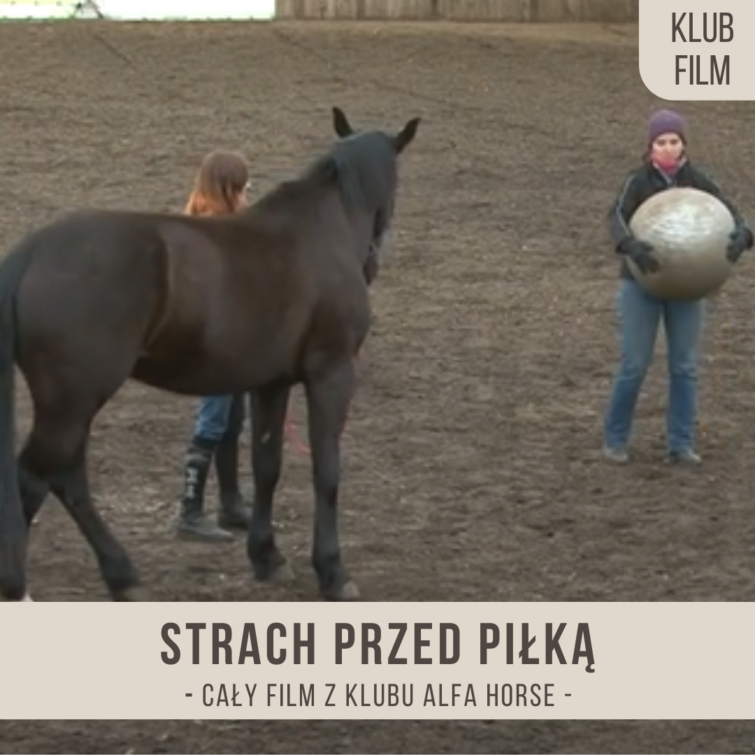 strach_przed_pilka