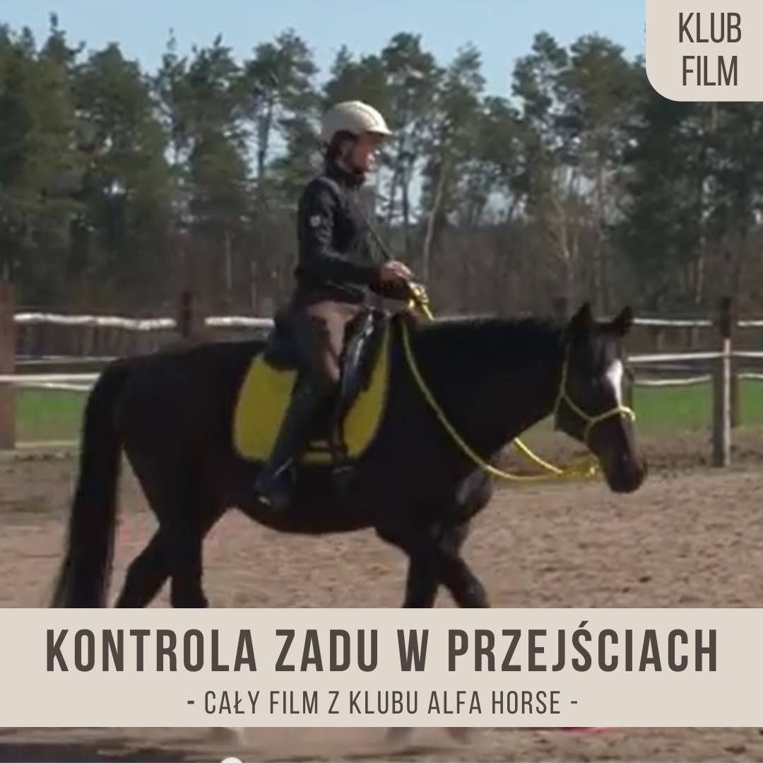 kontrola_zadu_w_przejsciach