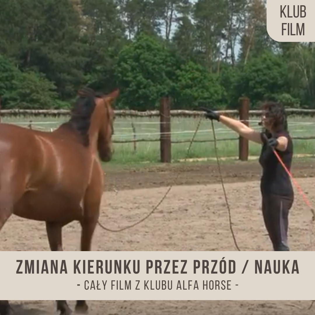 zmiana_kierunku_przez_przód_nauka