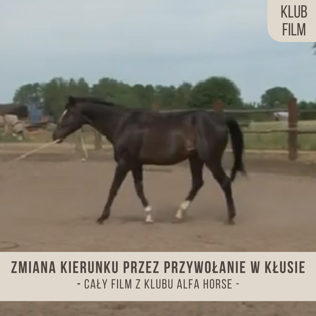 zmiana_kierunku_przez_przywolanie_w_klusie