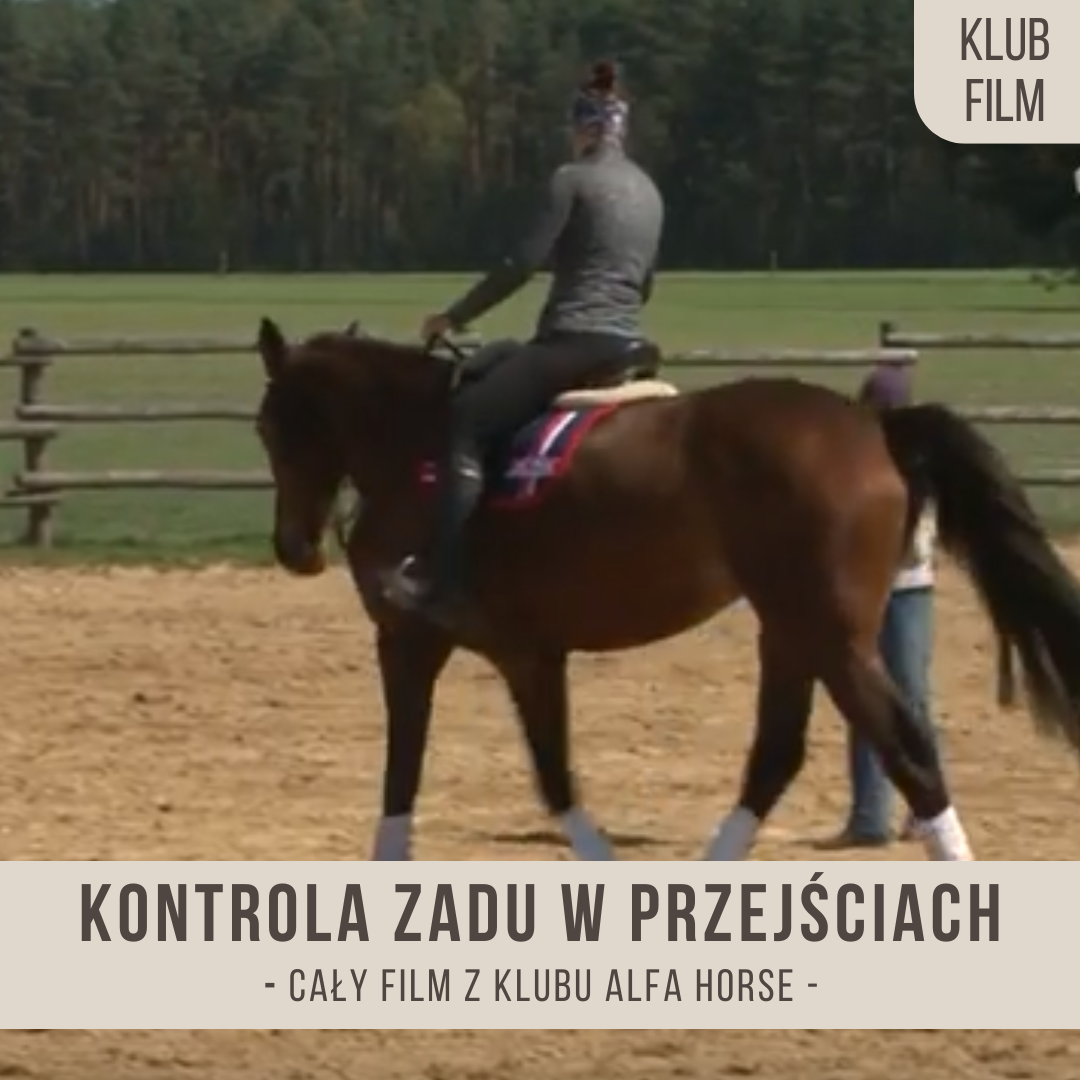 kontrola-zadu_w_przejsciach