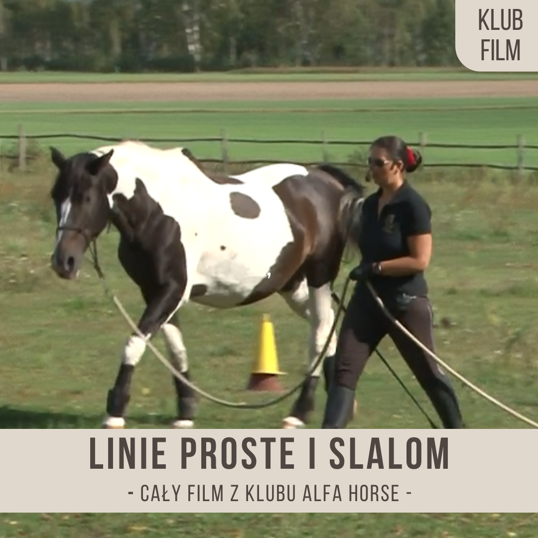 linie_proste_i_slalom