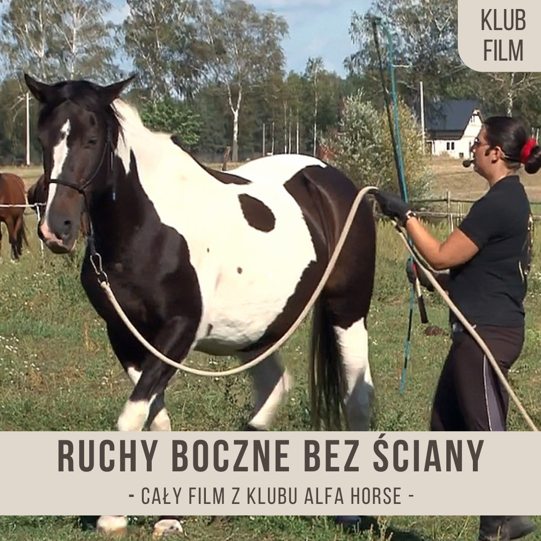 ruchy_boczne_bez_sciany