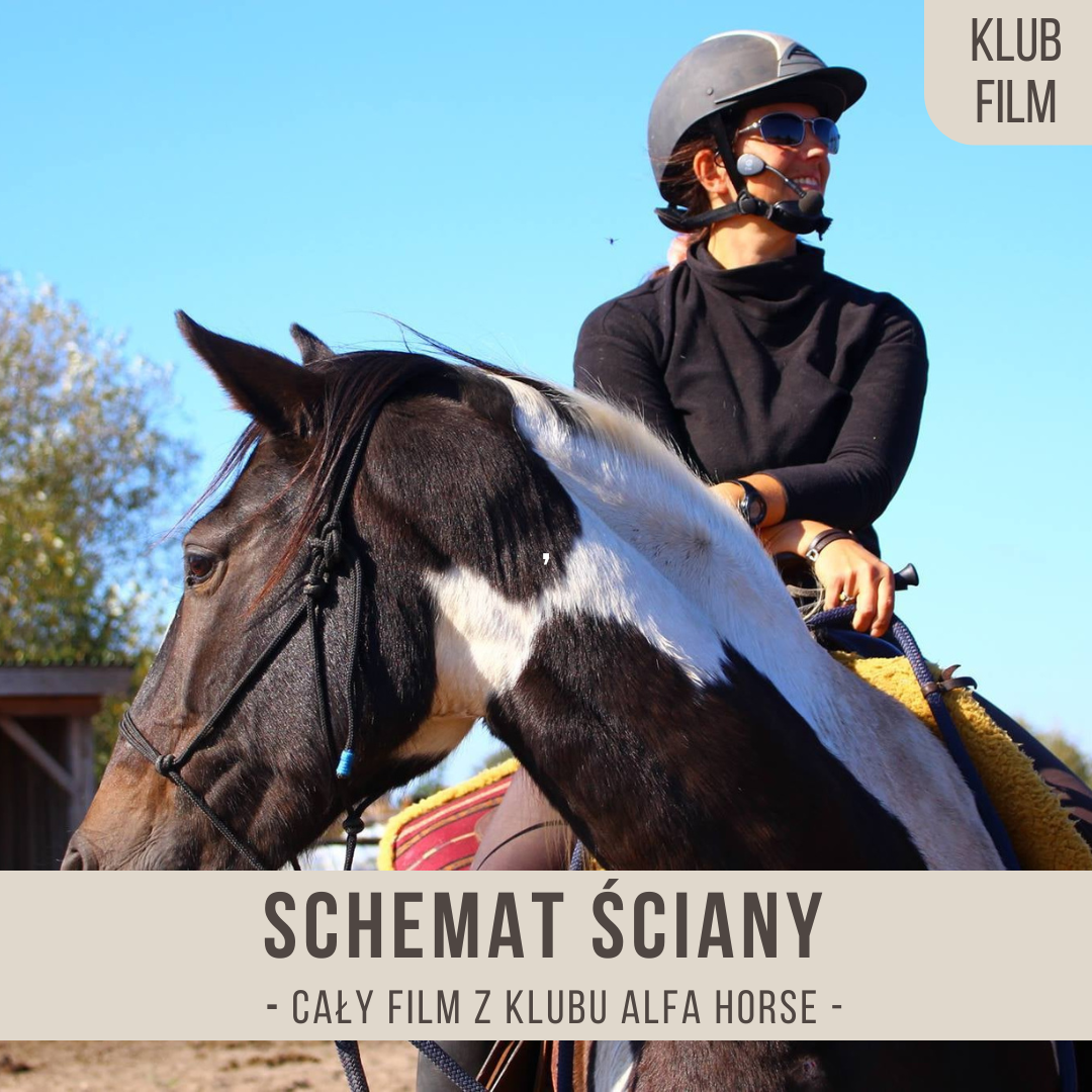 schemat_sciany