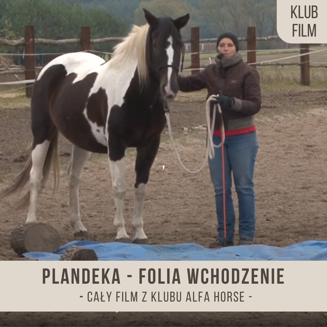 plandeka_folia_wchodzenie