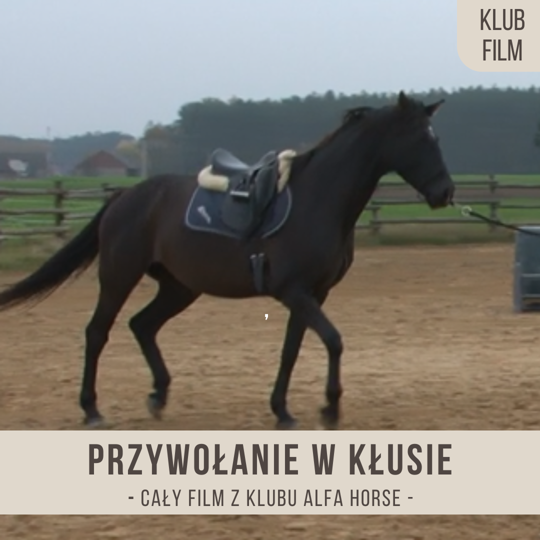przywolanie_w_klusie