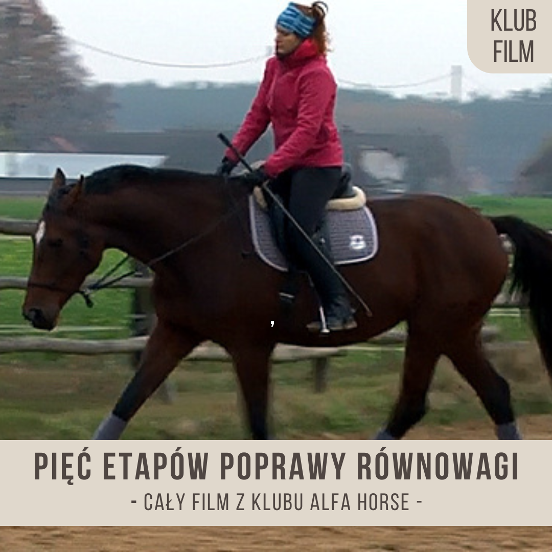 piec_etapow_poprawy_rownowagi