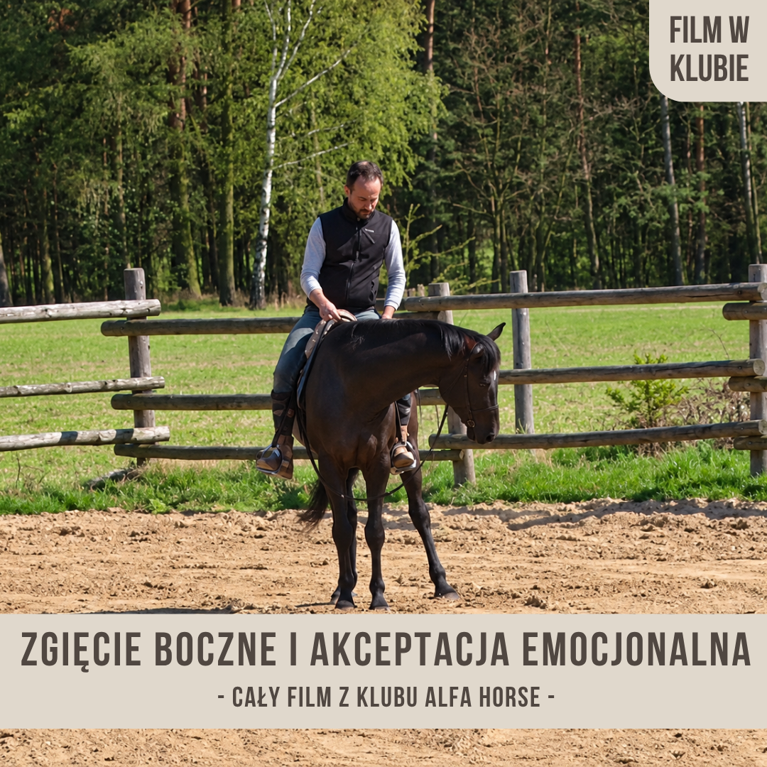 zgiecie_boczne_akceptacja_emocjonalna_panna_alfahorse