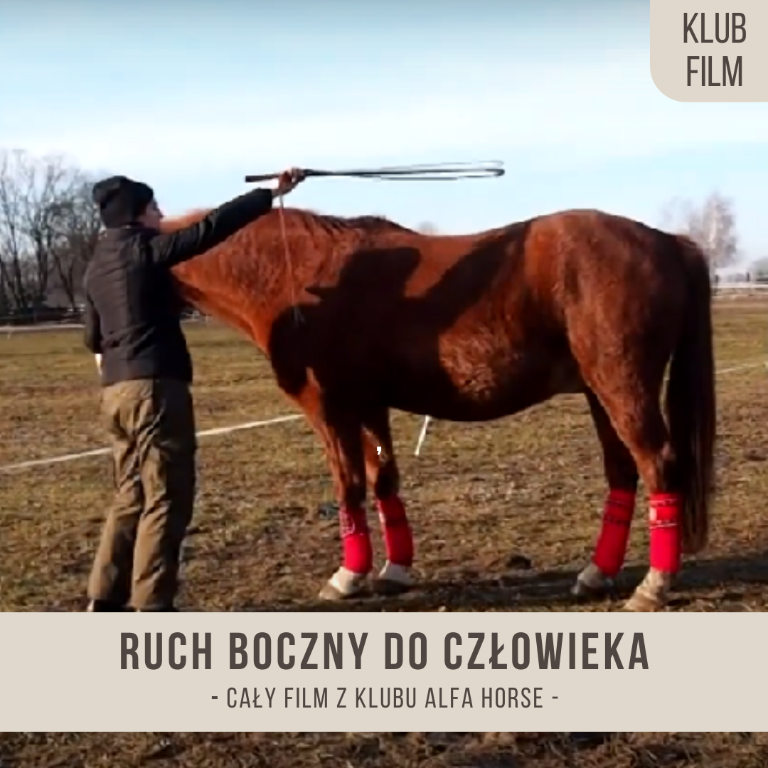 ruch_boczny_do_czlowieka