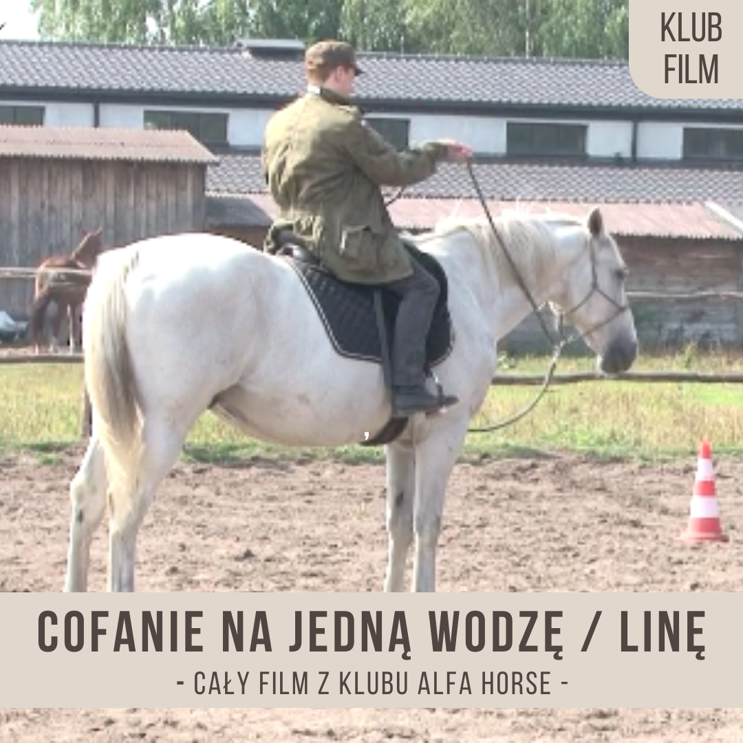 cofanie_na_jedna_wodze_line