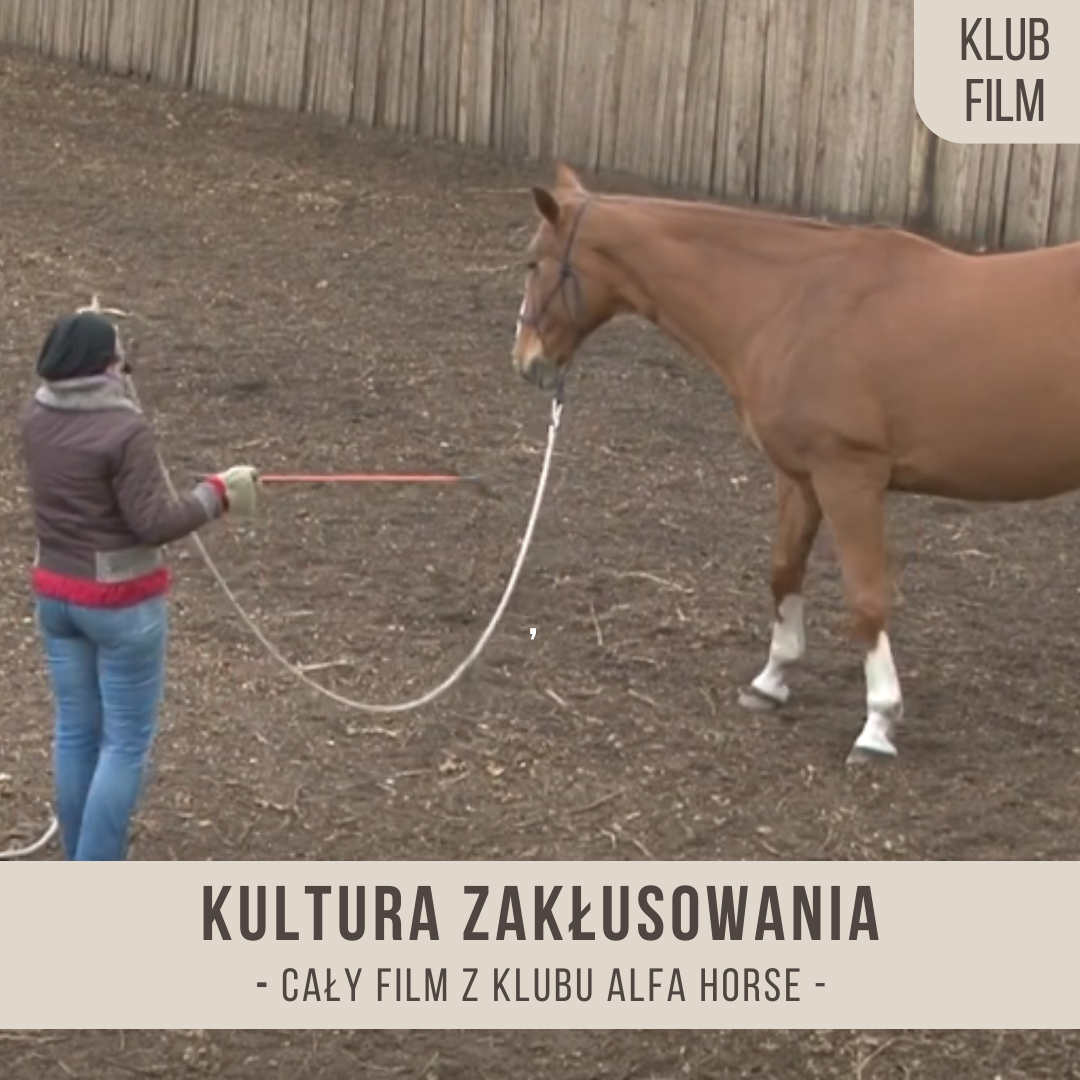 kultura_zaklusowania