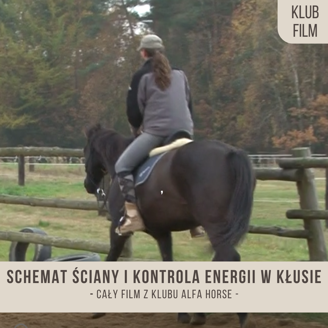 schemat_sciany_i_kontrola_energii_w_klusie