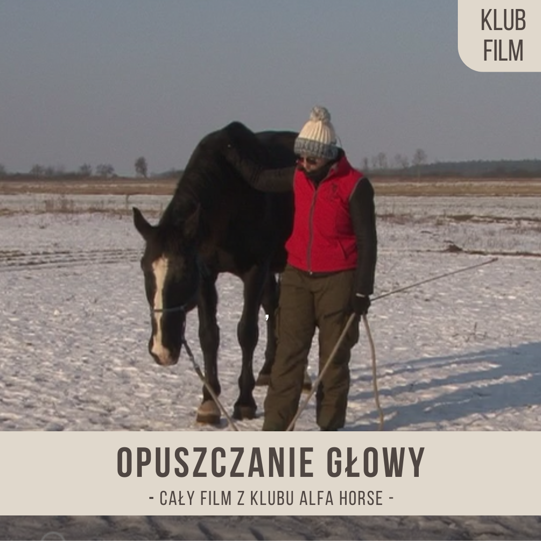 opuszczanie_glowy