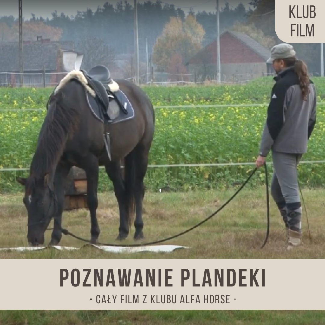 poznawanie_plandeki