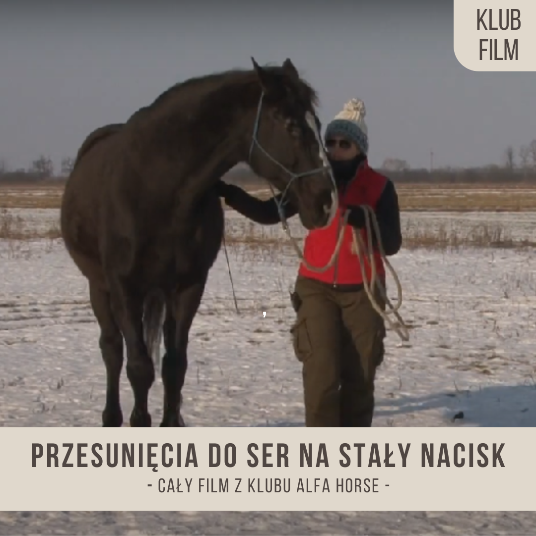 przesuniecia_do_ser_na_staly_nacisk
