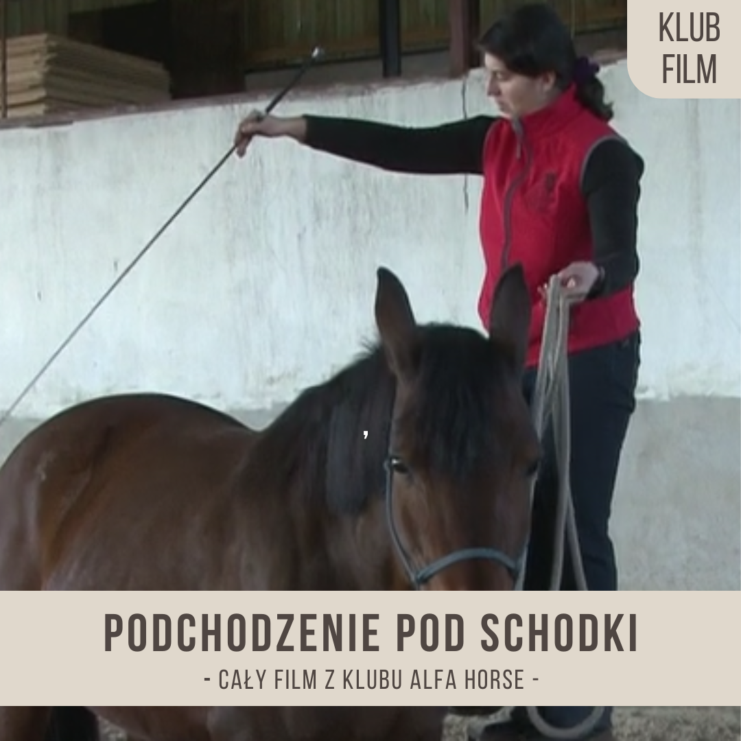 podchodzenie_pod_schodkiA