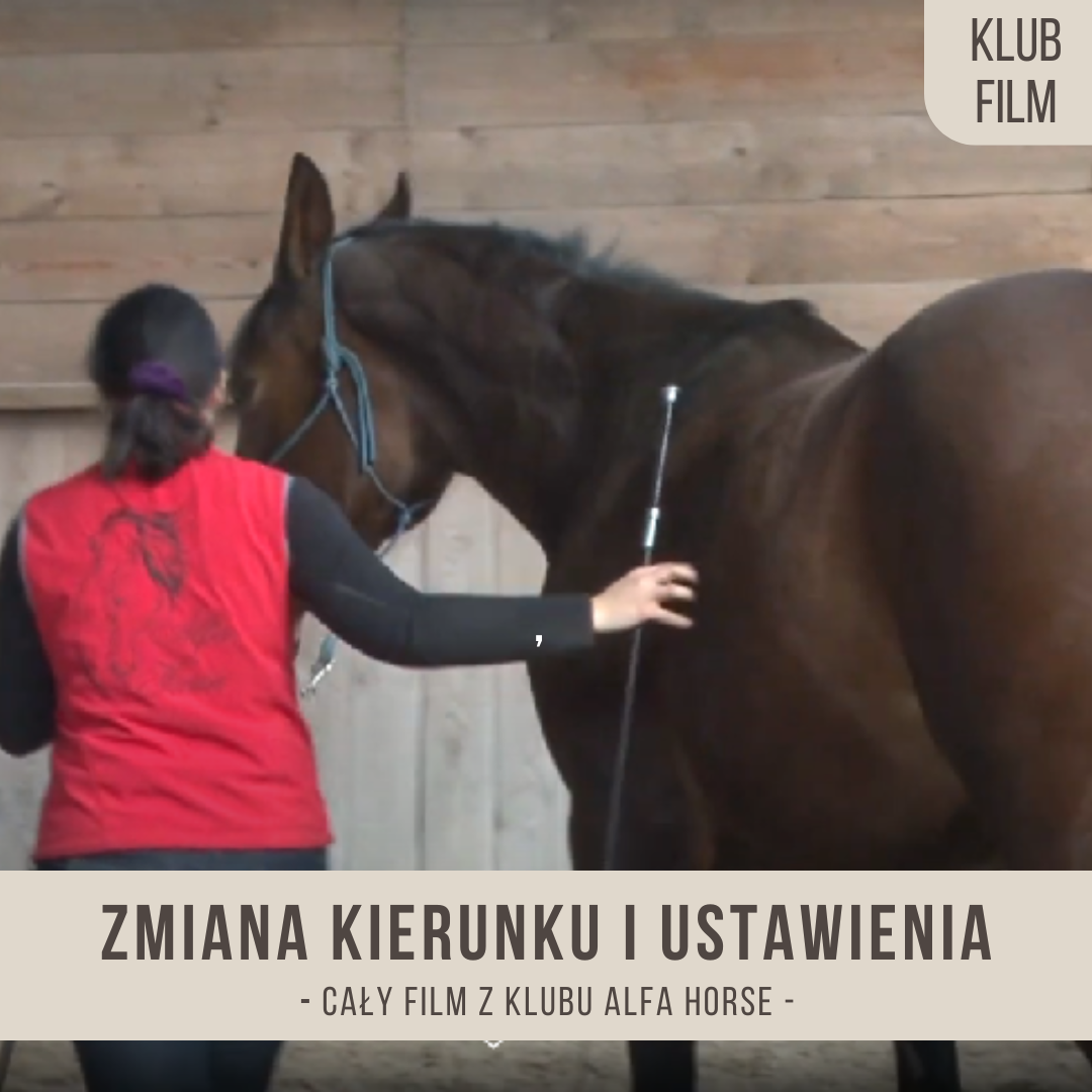 zmiana_kierunku_i_ustawienia