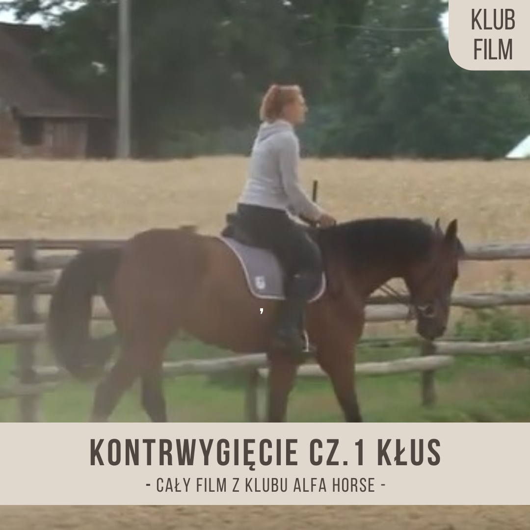 kontrustawienie_czesc_1_klus