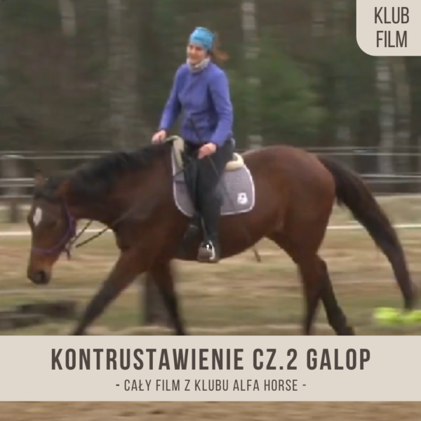 kontrustawienie_czesc_druga_galop