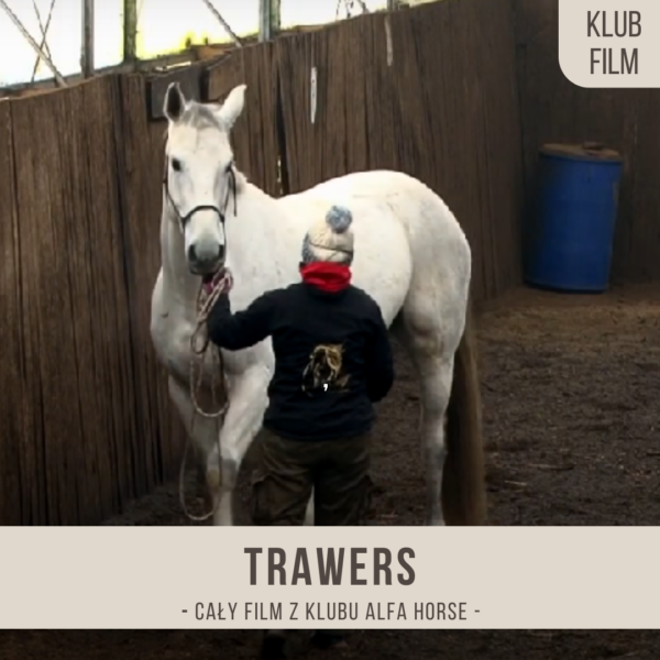 trawers