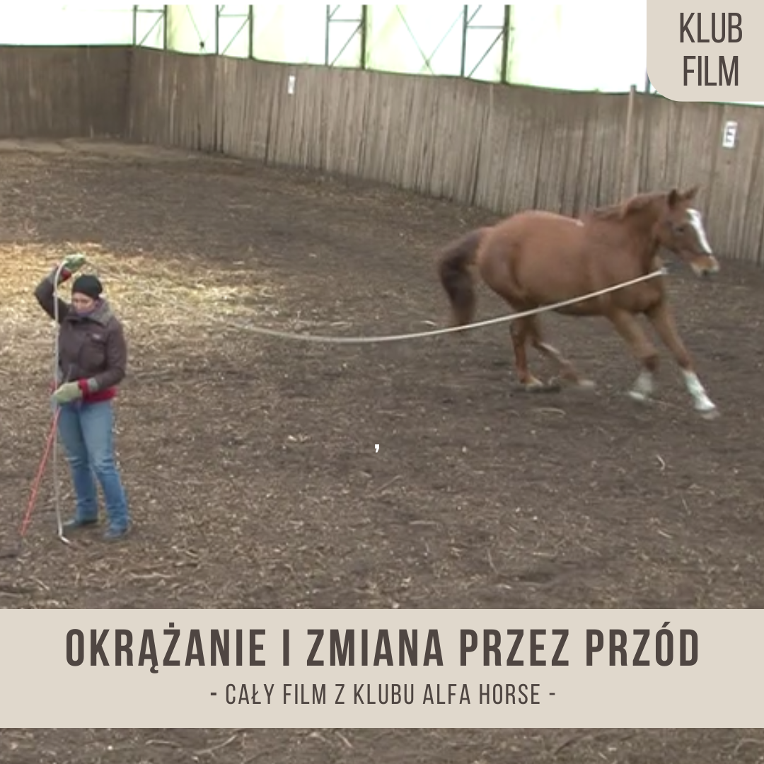 okrazanie_i_zmiana_przez_przod