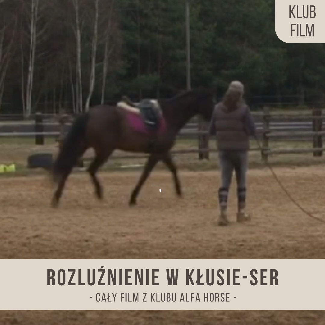 rozluznienie_w_klusie_ser