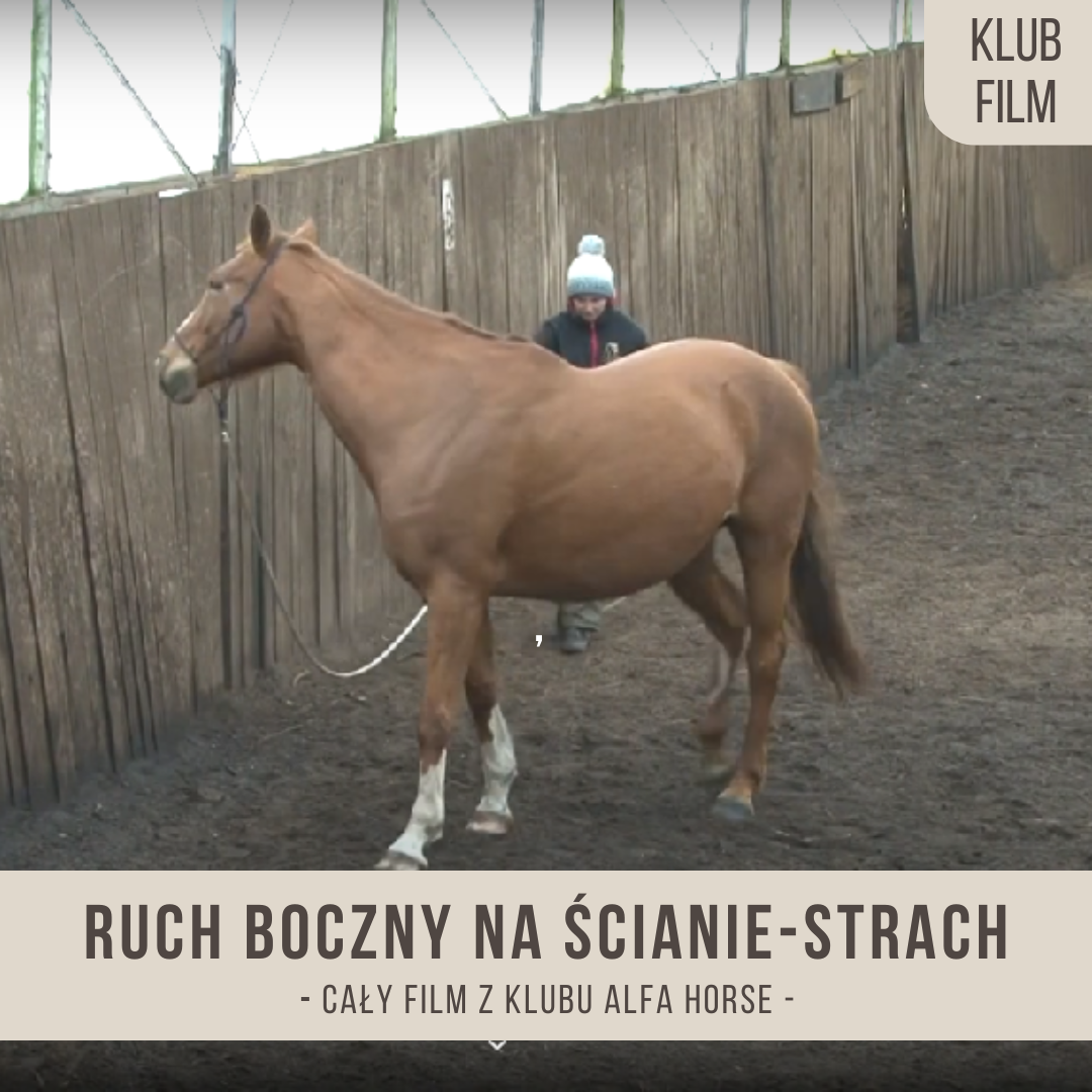 ruch_boczny_na_scianie_strach